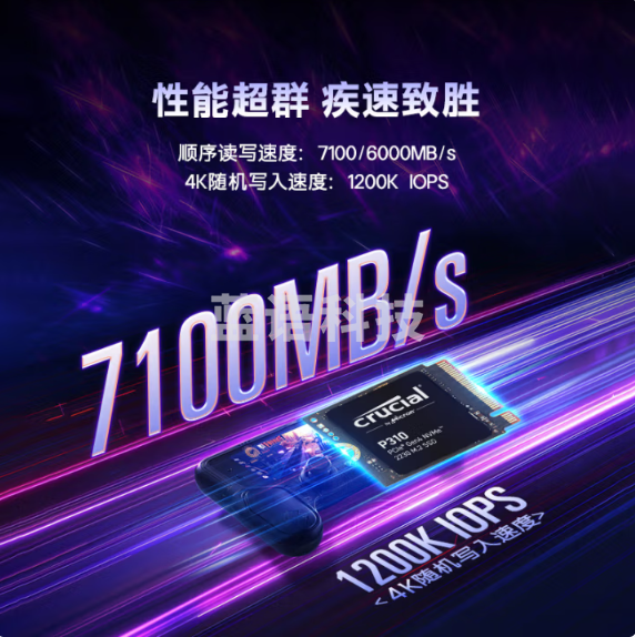 P310 1TB SSD固态硬盘 2230 M.2(NVMe PCIe4.0*4)7100MB/s 适配SteamDeck