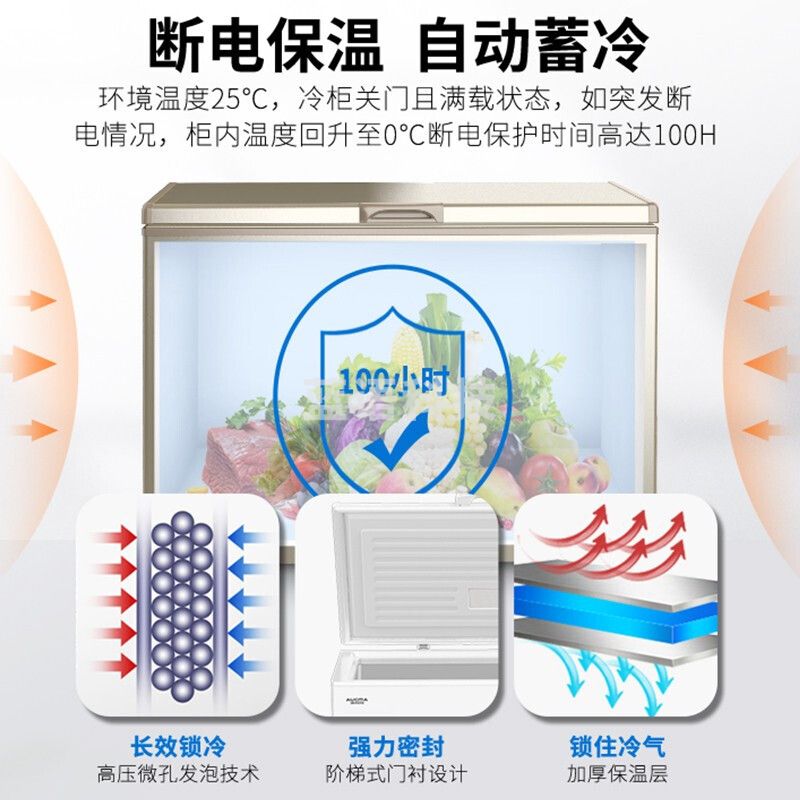 澳柯玛（AUCMA）冰柜310升小冷柜 冷藏冷冻单温转换一级能效雪柜 商用速冻保鲜大容量冰箱BC/BD-310NF