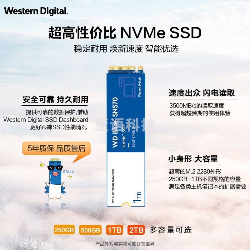 西部数据(Western Digital) 500GB SSD固态硬盘 M.2接口(NVMe协议) WD Blue SN570 四通道PCIe 高速