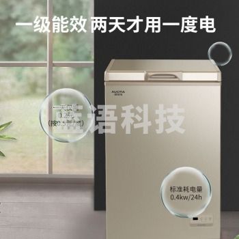 澳柯玛（AUCMA） 103升零下40度超低温冰柜 深海海鲜 电脑控温 家用商用小冷柜 BC/BD-103FNE