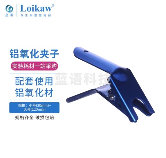 垒固 溶剂过滤器夹子铝氧化砂芯过滤装置法兰口实验室金属夹子 小号（30mm）微量适用