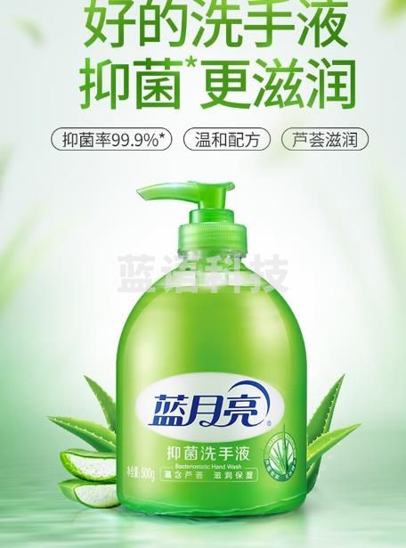 蓝月亮 500ml芦荟抑菌洗手液(6瓶装)