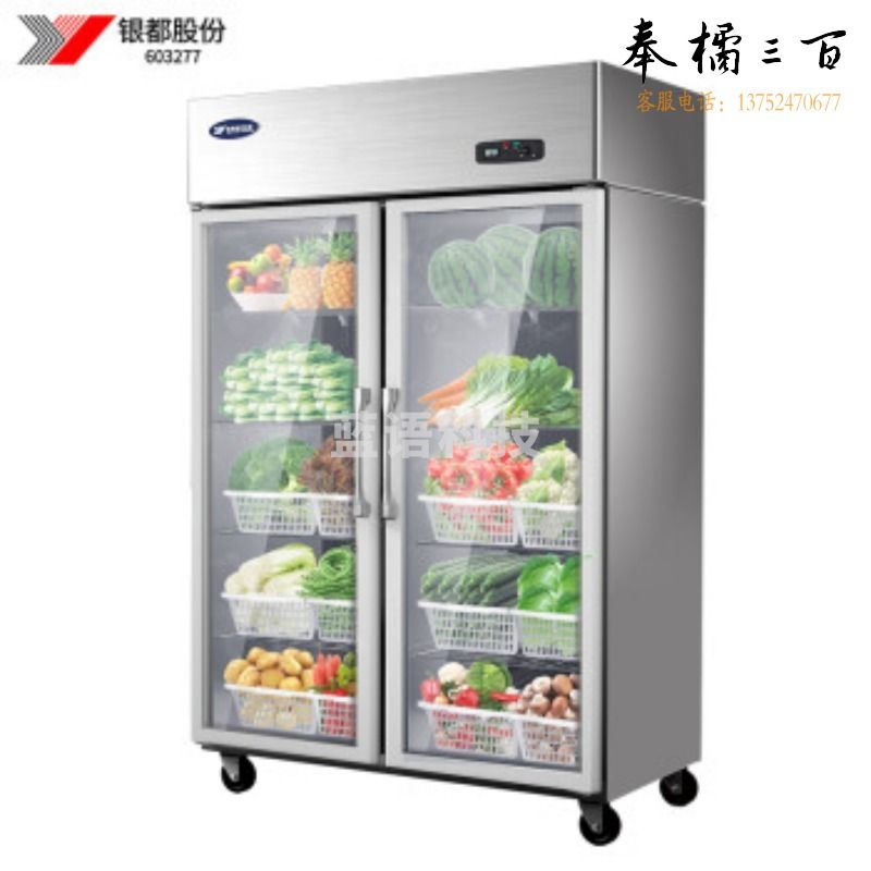 银都 BCL0623S 银都 BCL0623S 商用冰柜透明双门保鲜柜冷藏展示柜