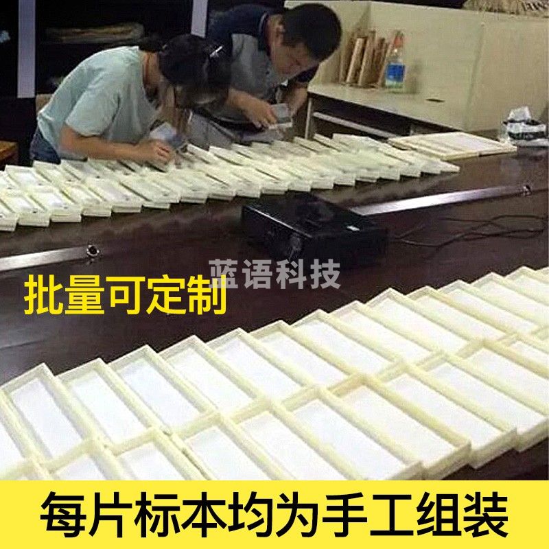 萨伽（SAGA） 双目显微镜003学生生物光学六一儿童礼物专业高倍高清科普教学 200片标本（高教版）